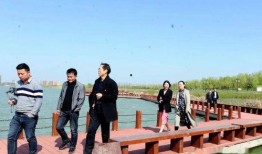 新蔡县新闻记者爆料,揭秘背后惊人真相！